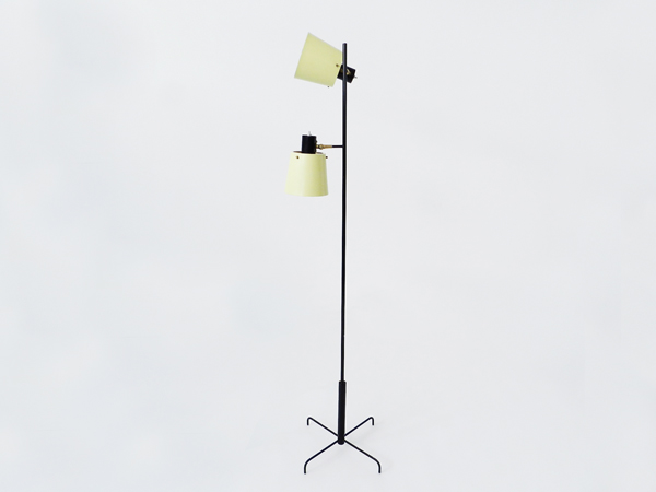 Adjustable floor Lamp