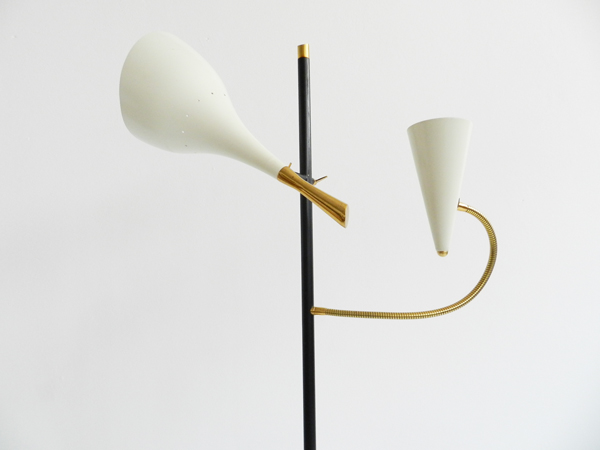 Adjustable floor Lamp